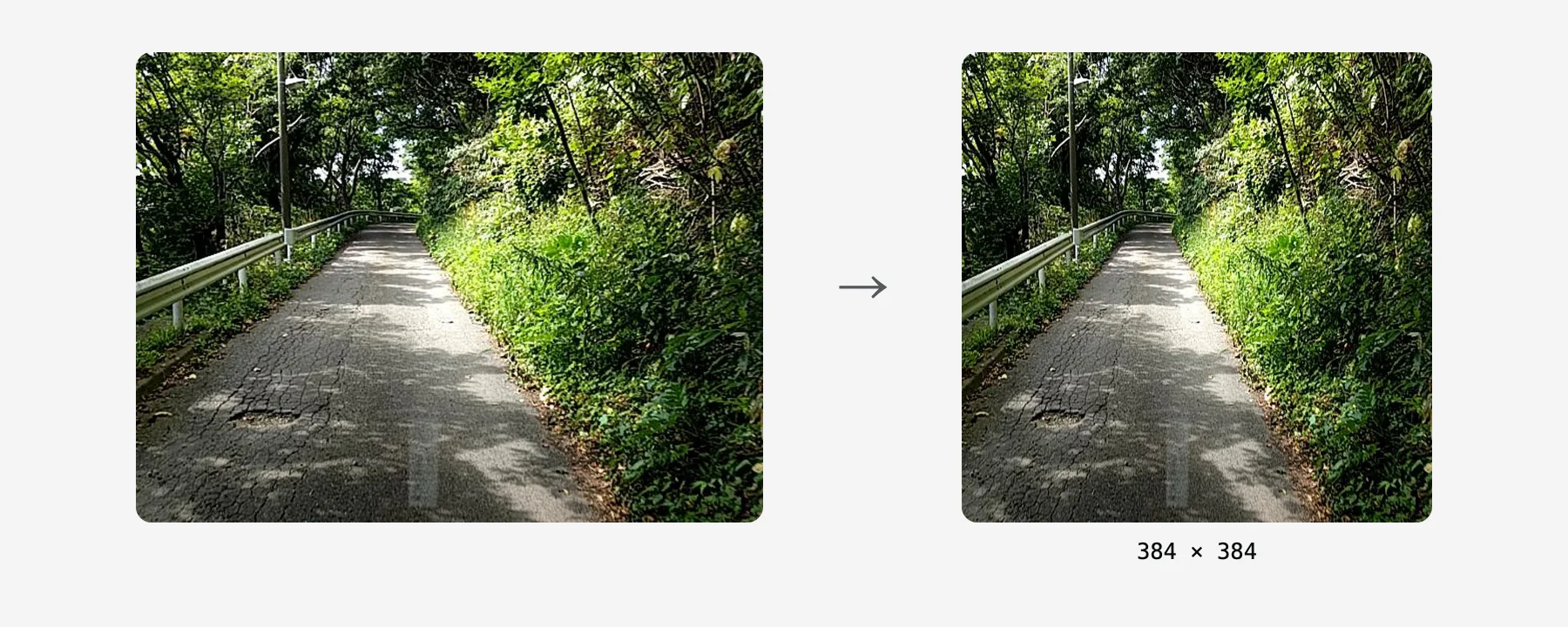 木陰の道の写真が、縦横比を変えて正方形に引き伸ばされ、384×384になる