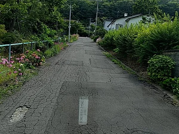 ひび割れの多い細い道の、左下にある穴を囲んだ赤い枠と正解の枠