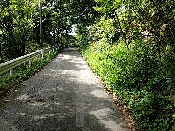 木陰の細い道にある穴を囲んだ赤い枠と正解の枠