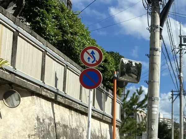 No-passing (no crossing to the right) and no-parking signs in front of a stone wall, with a curve mirror on the right